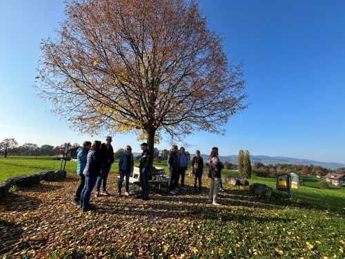 November-Blues-Einkehr-Achtsamkeit November-Blues-Einkehr-Achtsamkeit