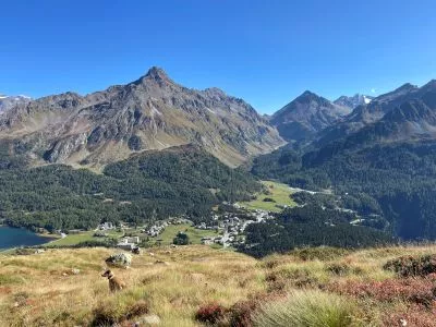Maloja-Fasten-Patrizia